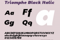 Triomphe Black