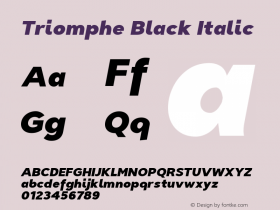 Triomphe Black