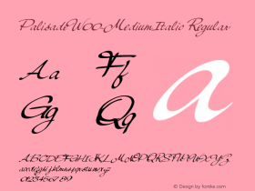 Palisade-MediumItalic