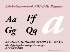 AdobeGaramond-BdIt