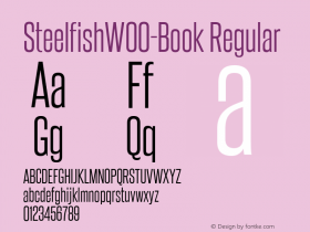 Steelfish-Book