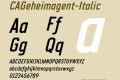 CAGeheimagent-Italic