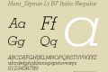 Huni_Stymie Lt BT Italic