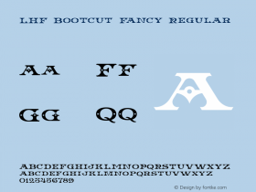 LHF Bootcut Fancy