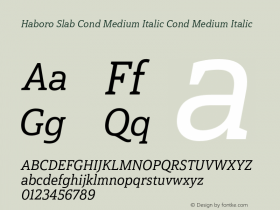 Haboro Slab Cond Medium Italic