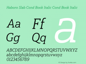 Haboro Slab Cond Book Italic