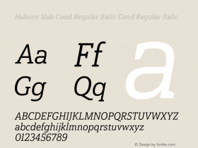 Haboro Slab Cond Regular Italic