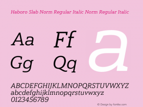 Haboro Slab Norm Regular Italic