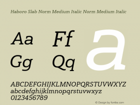 Haboro Slab Norm Medium Italic
