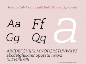 Haboro Slab Norm Light Italic