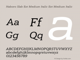 Haboro Slab Ext Medium Italic