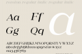 romina regular italic