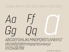 Gineso Norm Thin Italic