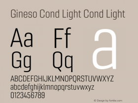 Gineso Cond Light
