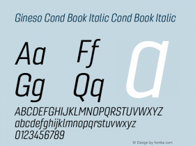Gineso Cond Book Italic