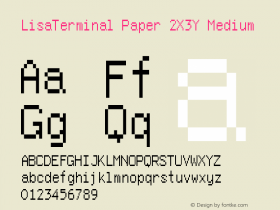 LisaTerminal Paper 2X3Y