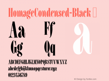 HomageCondensed-Black