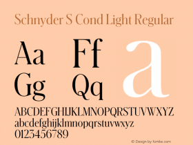 Schnyder S Cond Light