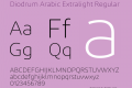 Diodrum Arabic Extralight