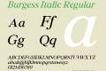 Burgess Italic