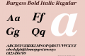 Burgess Bold Italic