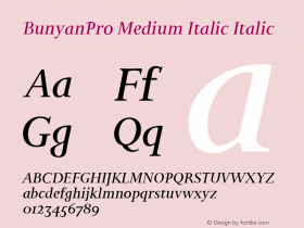 BunyanPro Medium Italic