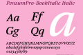 PensumPro-BookItalic