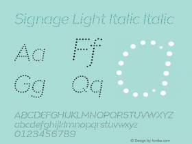 Signage Light Italic