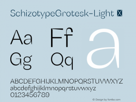 SchizotypeGrotesk-Light