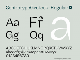 SchizotypeGrotesk-Regular