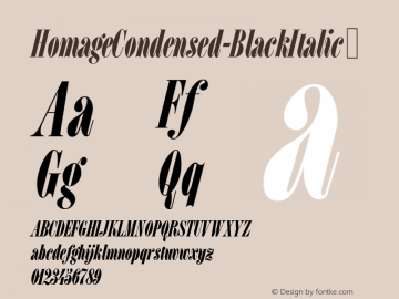 HomageCondensed-BlackItalic