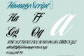 HomageScript