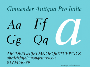 Gmuender Antiqua Pro