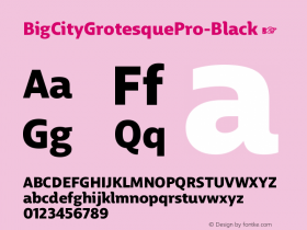 BigCityGrotesquePro-Black