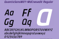 QuantisSans-MdCnesedIt