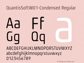 QuantisSoft-Condensed