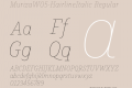 Muriza-HairlineItalic