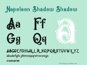 Napoleon Shadow