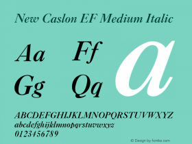 New Caslon EF