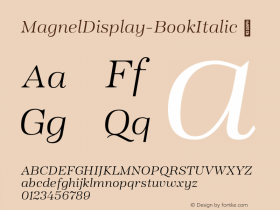 MagnelDisplay-BookItalic