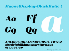 MagnelDisplay-BlackItalic