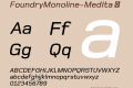 FoundryMonoline-MedIta