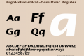 ErgoHebrew-DemiItalic