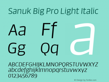 Sanuk Big Pro Light