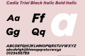 Cadiz Black Italic