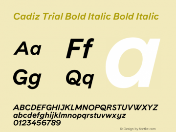 Cadiz Bold Italic