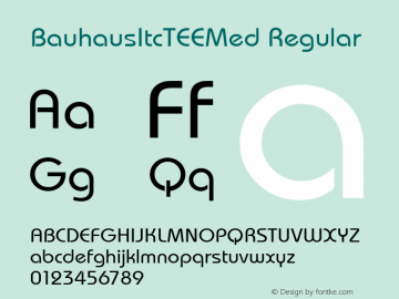 BauhausItcTEEMed