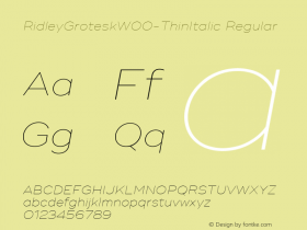 RidleyGrotesk-ThinItalic