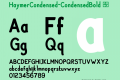 HaymerCondensed-CondensedBold