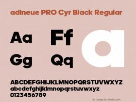 adineue PRO Cyr Black